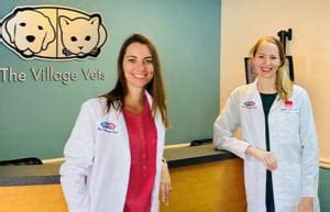 village vets of buckhead|Meet Our Team in Buckhead .